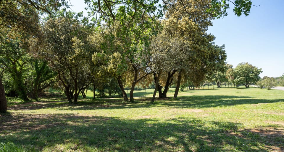 The area around Domaine du Lac