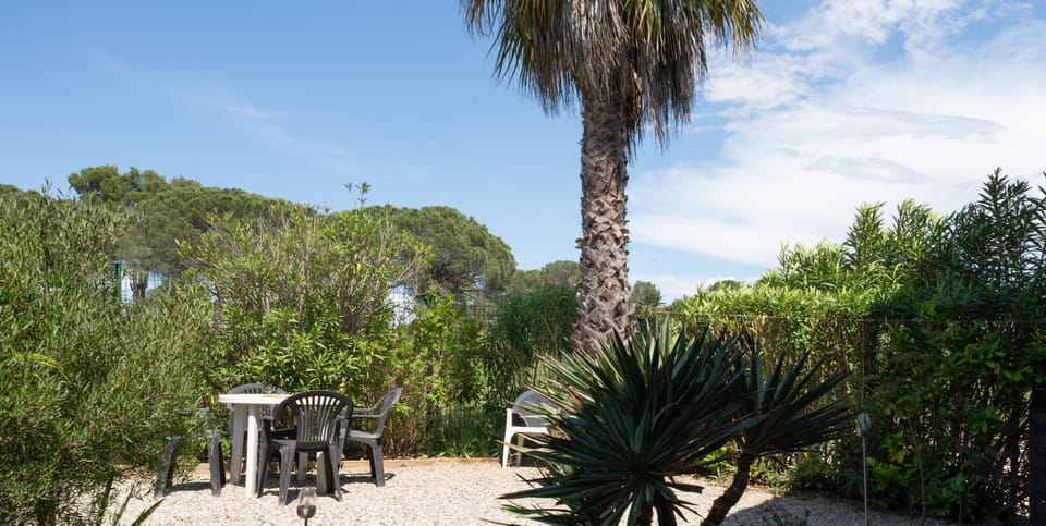North-facing terrace at the rear of the house. View over the garrigue