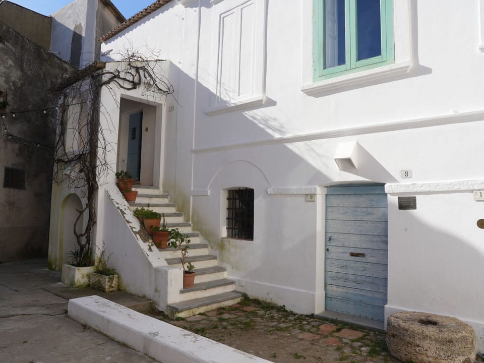 Wall, Door, Home, Stairs, Concrete, Paint, Plaster, Home Door, Flowerpot, Houseplant