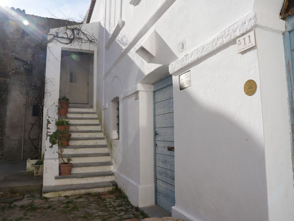 Wall, Door, Stairs, Concrete, Flowerpot, Home Door, Alley, Plaster, Houseplant, Paint