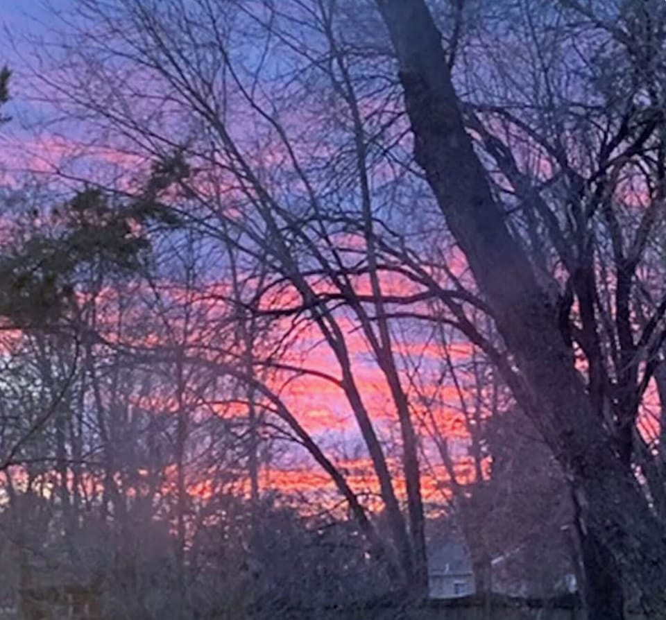 Sunset from the tiny house back porch.