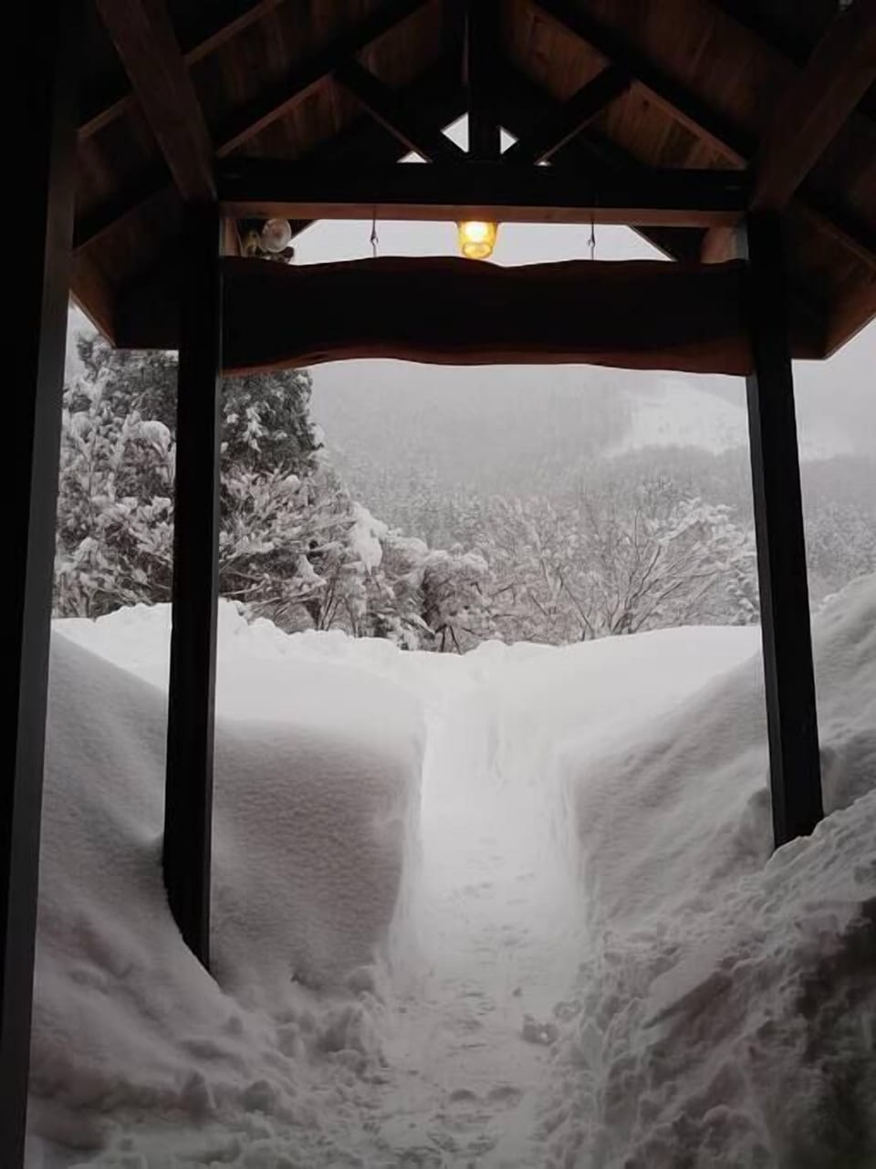 Winter Wonderland
