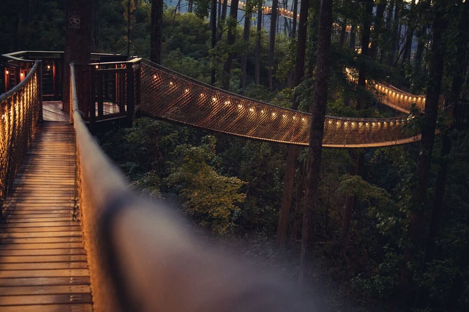 Stroll across a softly lit treetop bridge at Anakeesta as warm string lights glow against the forest canopy. Suspended high among the trees, this peaceful walk blends adventure and serenity in the heart of the Smokies.