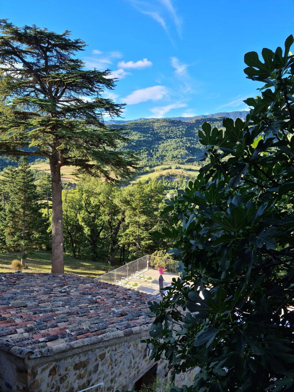 View from property