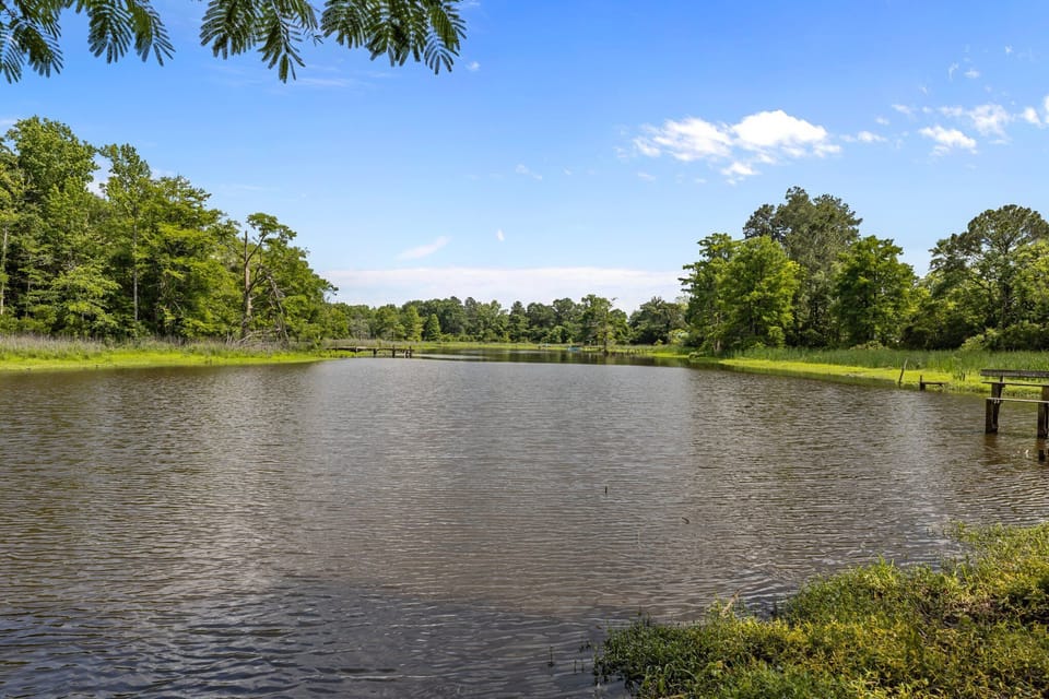 Tranquil view of Scott’s Creek, rich with wildlife and natural beauty.