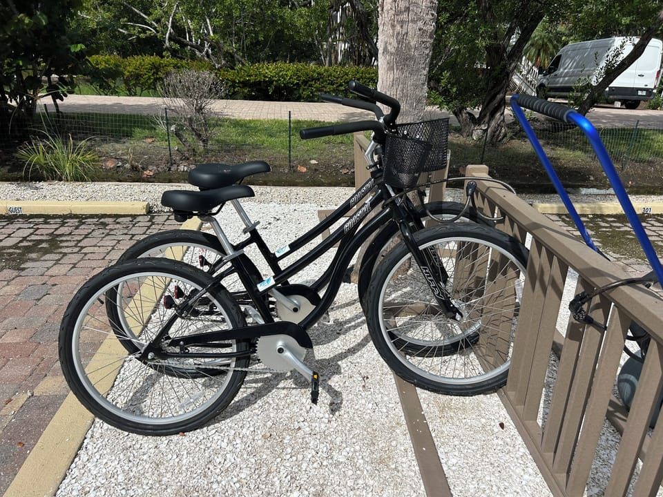 2 Free Bikes with Rental!
