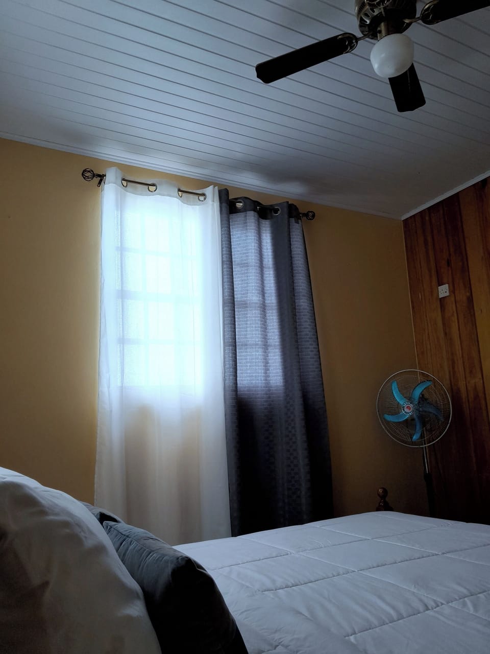 Pinard's Vacation Home-Apt 3 Apartment in Dominica