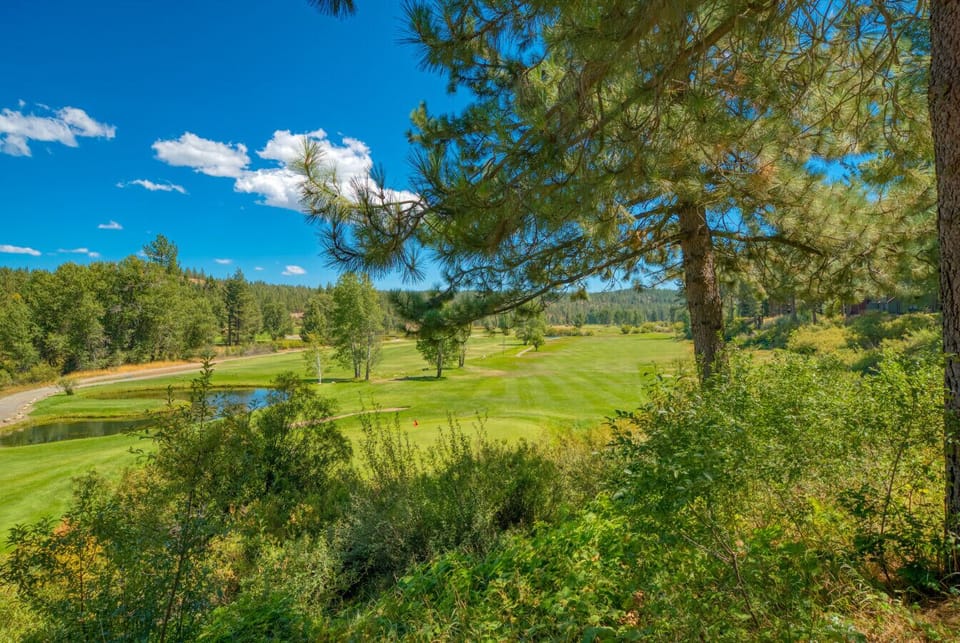 1st fairway and green