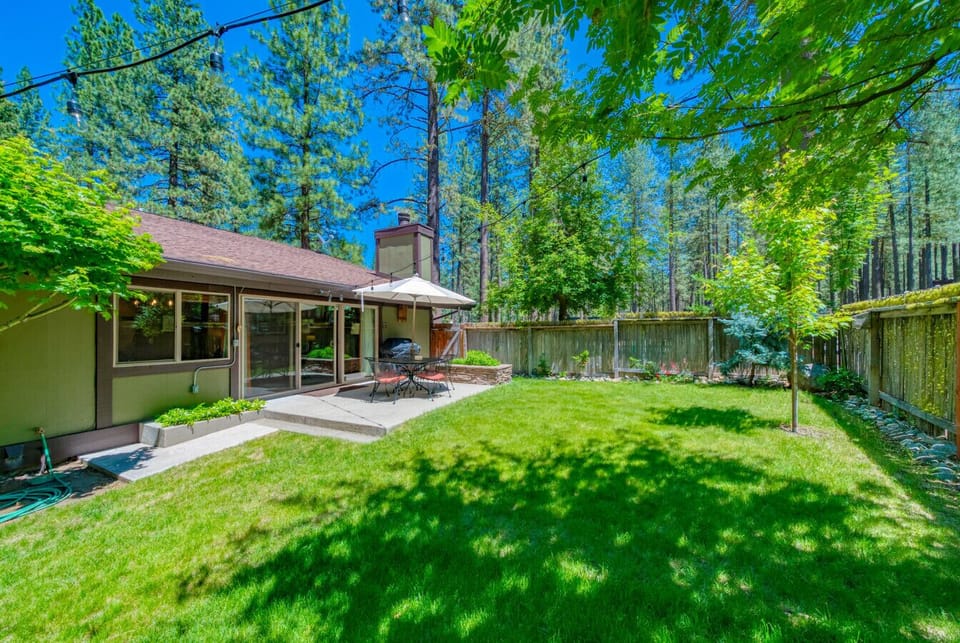 Large private yard under the pines