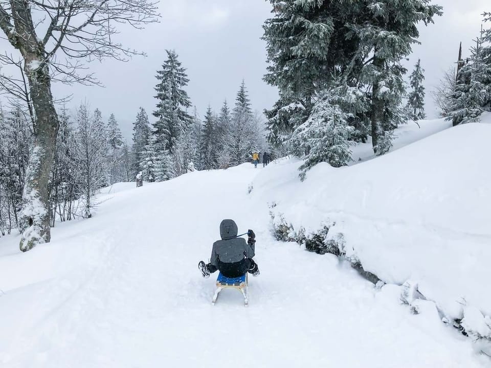 Sledding