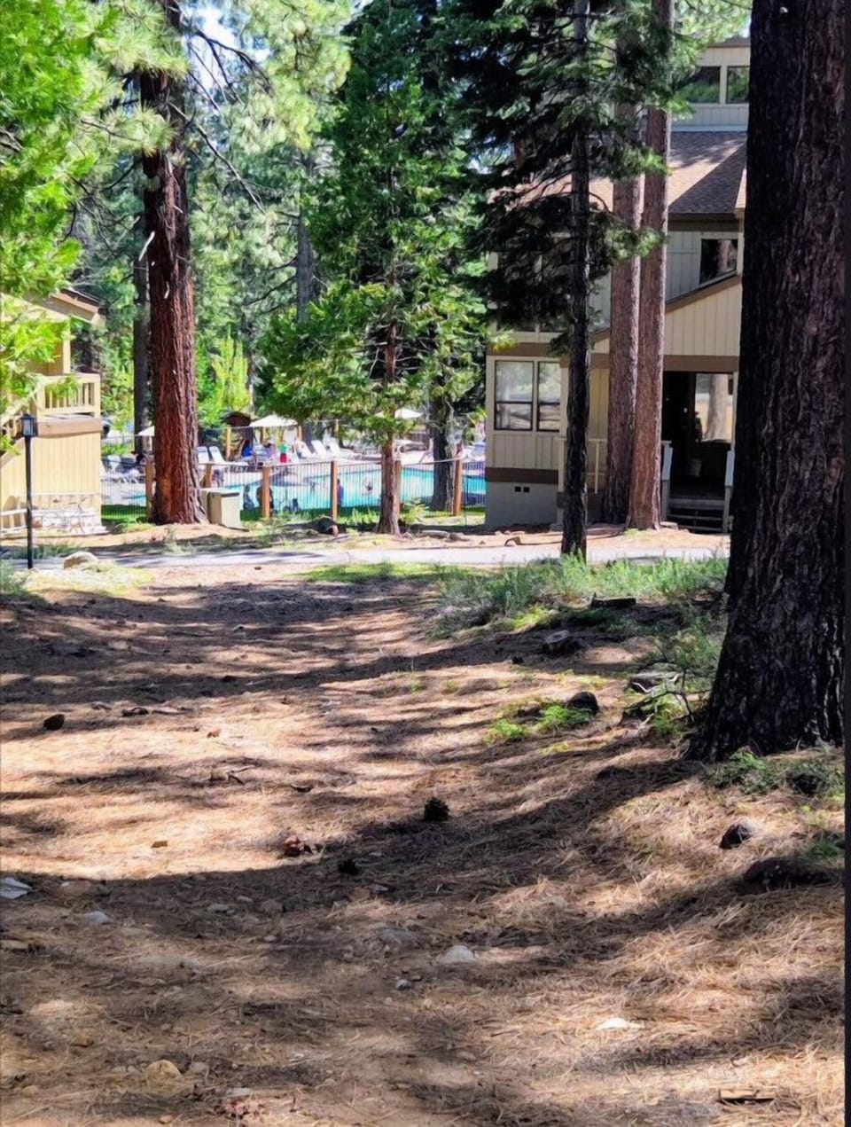 Path to Pool