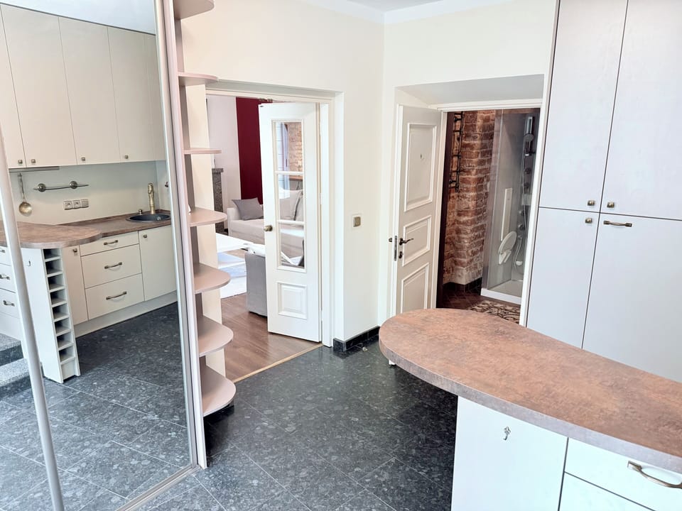 Luxury Apartment, Non Smoking, City View | Private kitchen | Full-size fridge, microwave, stovetop, cookware/dishes/utensils
