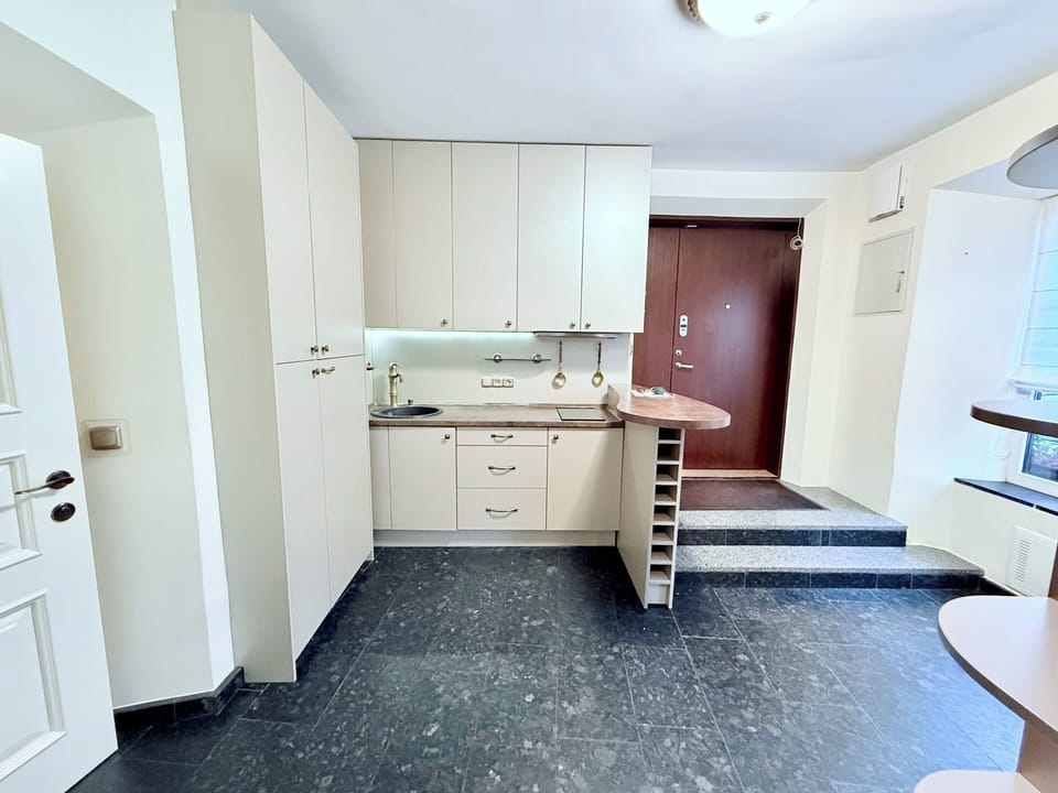 Luxury Apartment, Non Smoking, City View | Private kitchen | Full-size fridge, microwave, stovetop, cookware/dishes/utensils