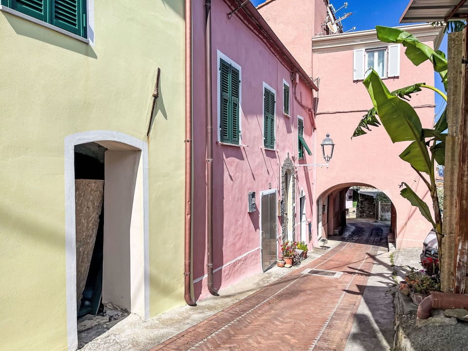 Wall, Street, Alley, Door, Concrete, Flowerpot, Houseplant, Walkway, Cobblestone, Driveway