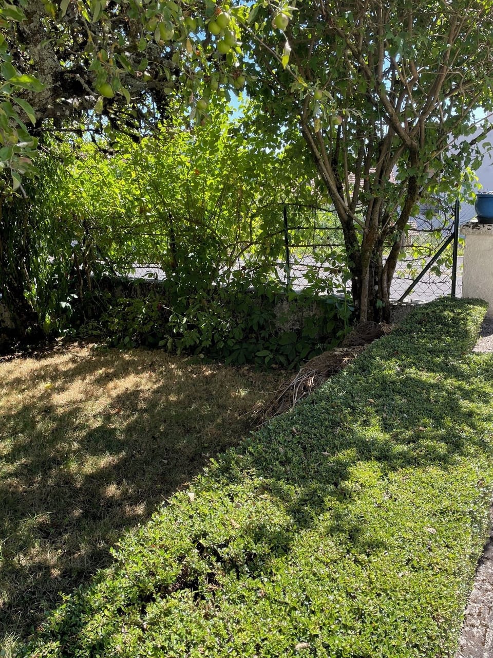 Property grounds