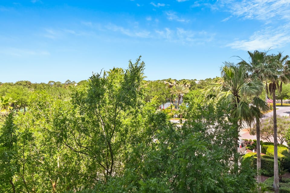 Lush greenery views