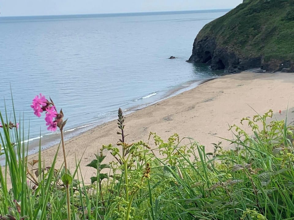 Views from the coast path