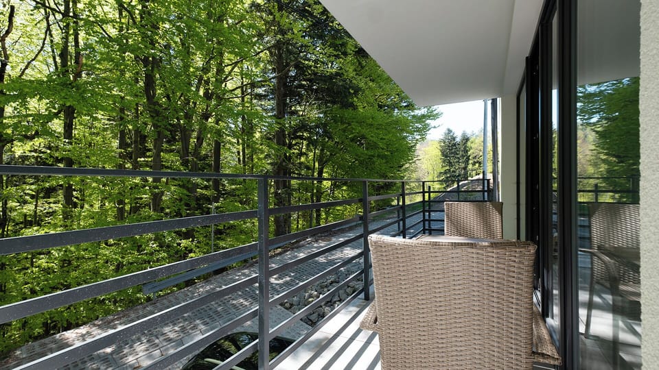 Apartment (F1) | Balcony