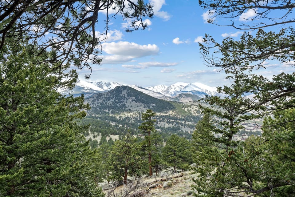 Tree, Fir, Nature, Outdoors, Mountain