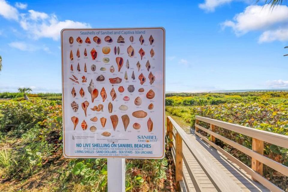 Boardwalk