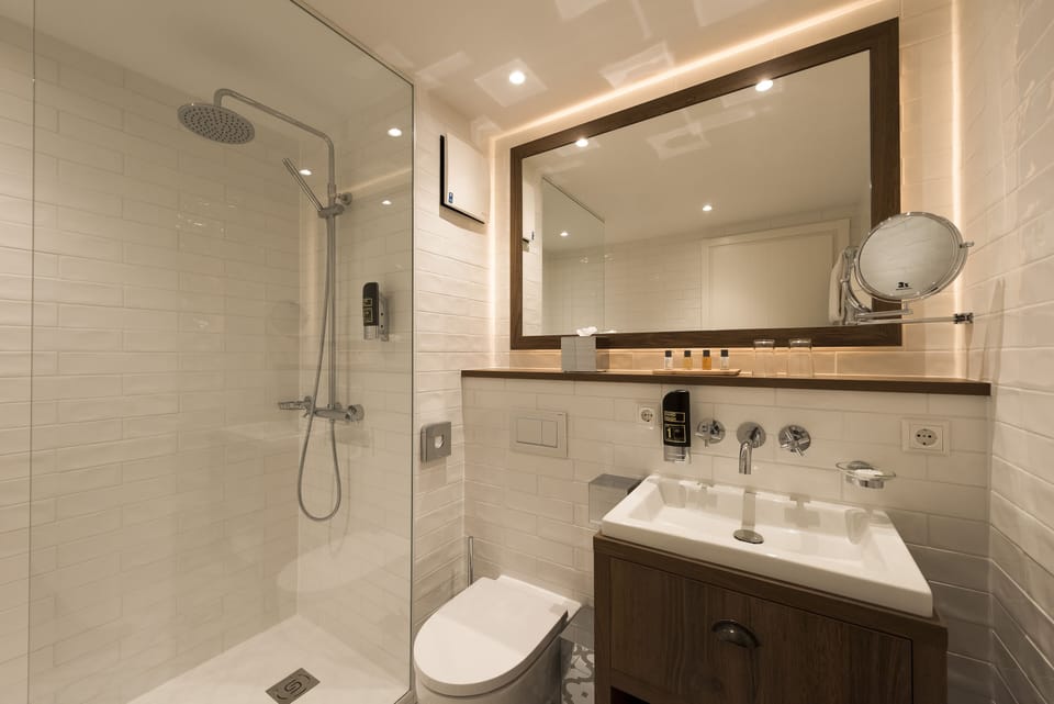 Suite | Bathroom | Shower, rainfall showerhead, free toiletries, hair dryer