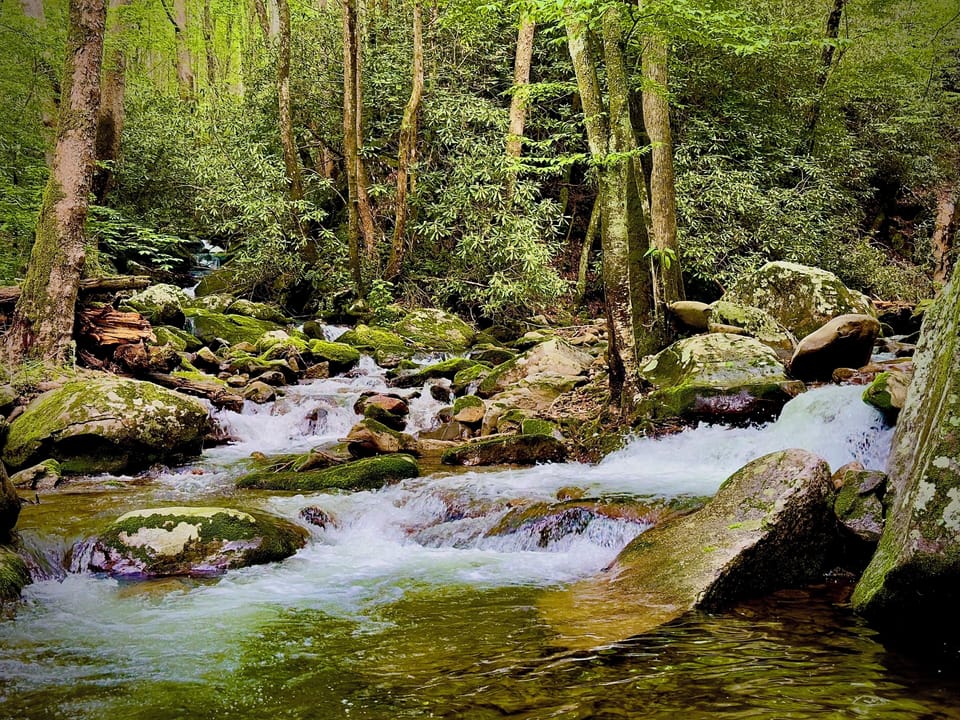 Up at the Cosby entrance to the GSMNP there is an nice spot to sit by the water
