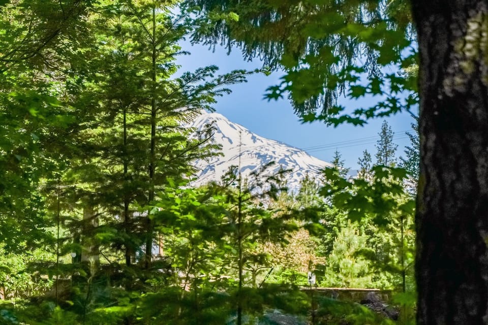 Partial Mountain View