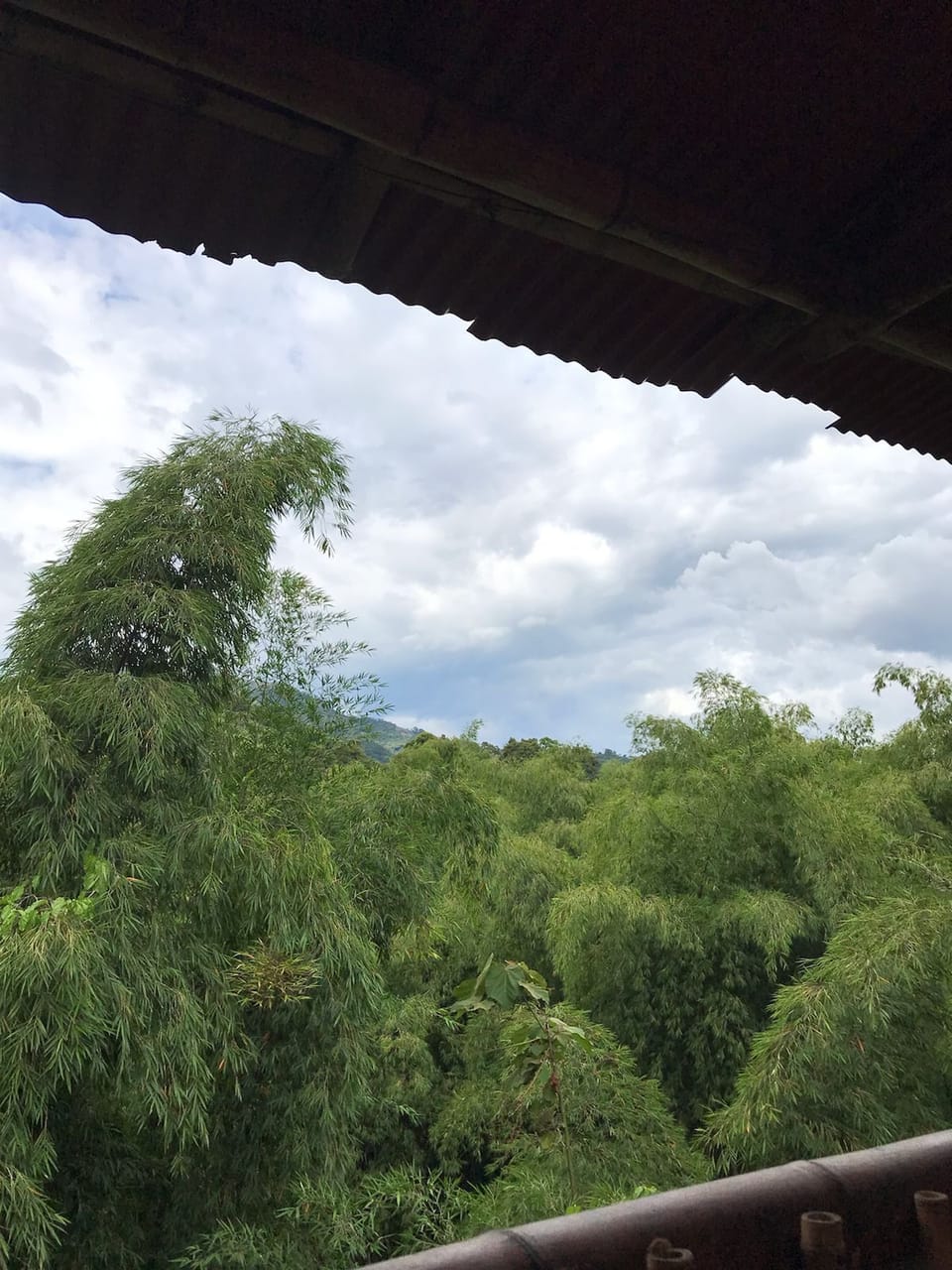 View from property