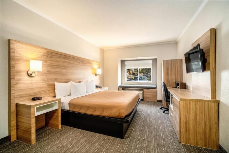 Room, 1 King Bed, Non Smoking | Premium bedding, laptop workspace, iron/ironing board, free WiFi
