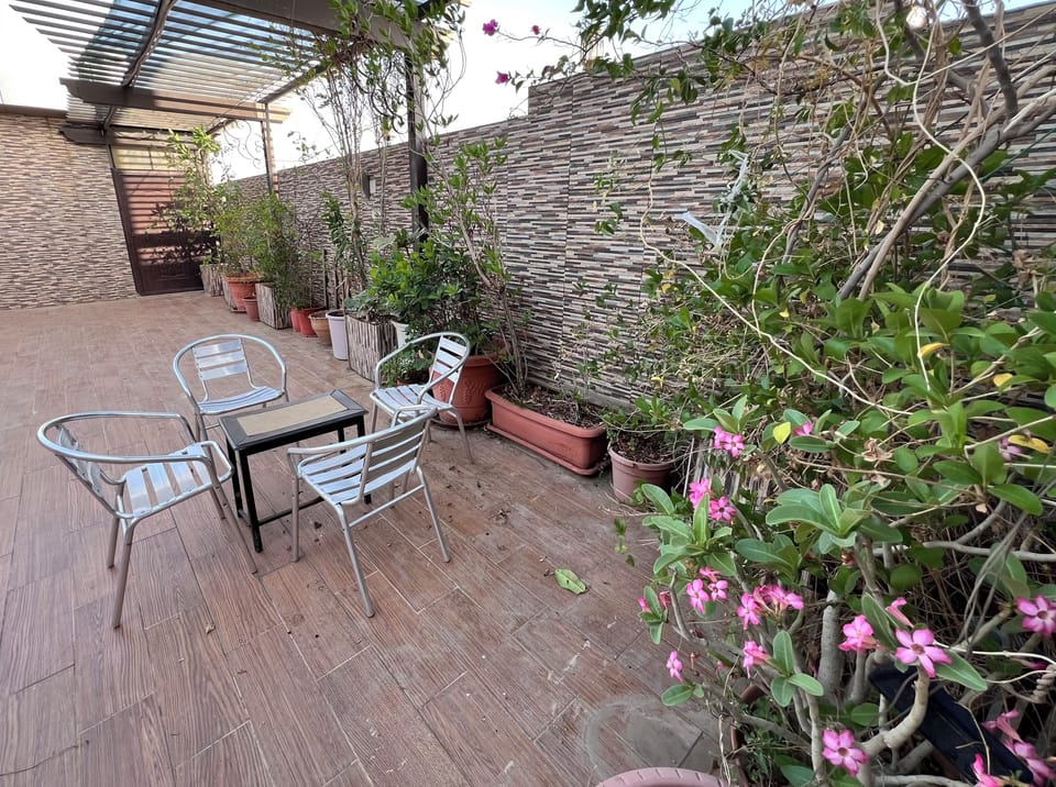 Apartment, 1 Double Bed, Kitchen, Park View | Terrace/patio