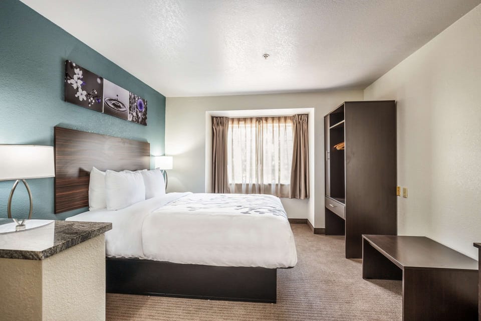 Desk, blackout drapes, soundproofing, iron/ironing board