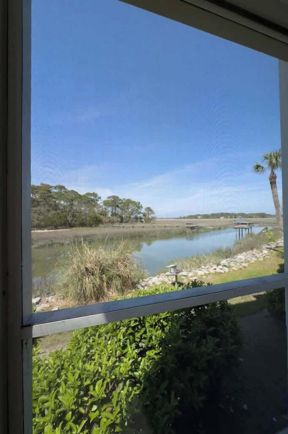 Marsh View 