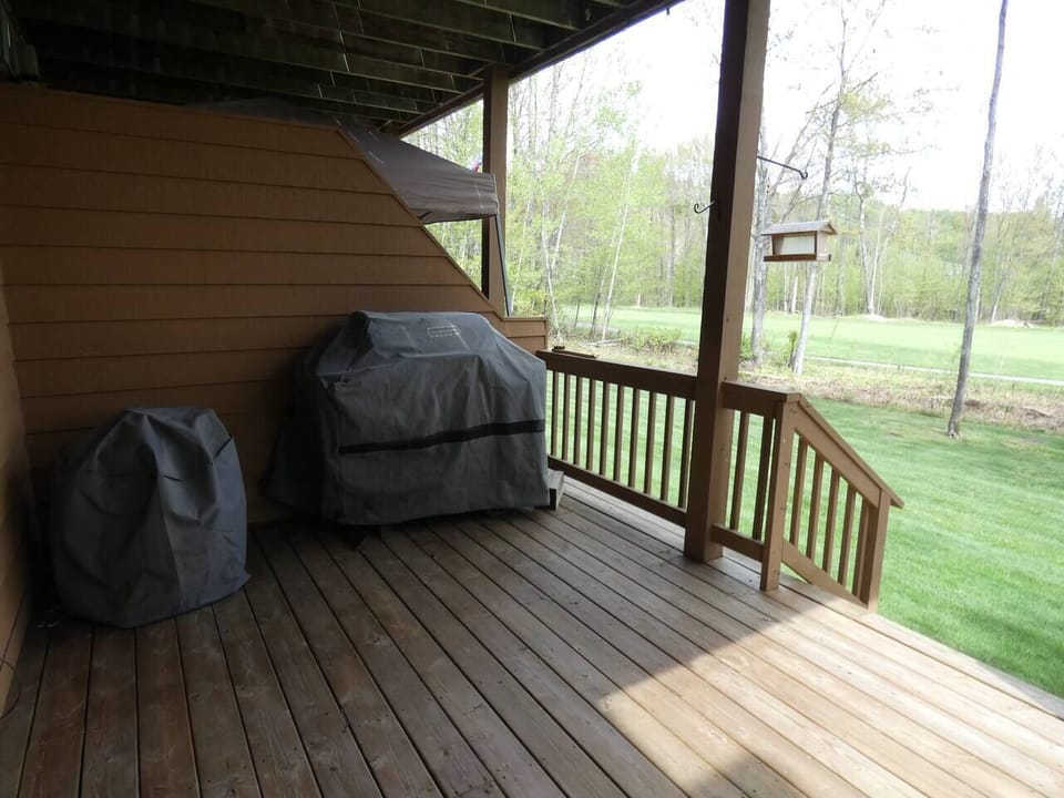 Gas grill