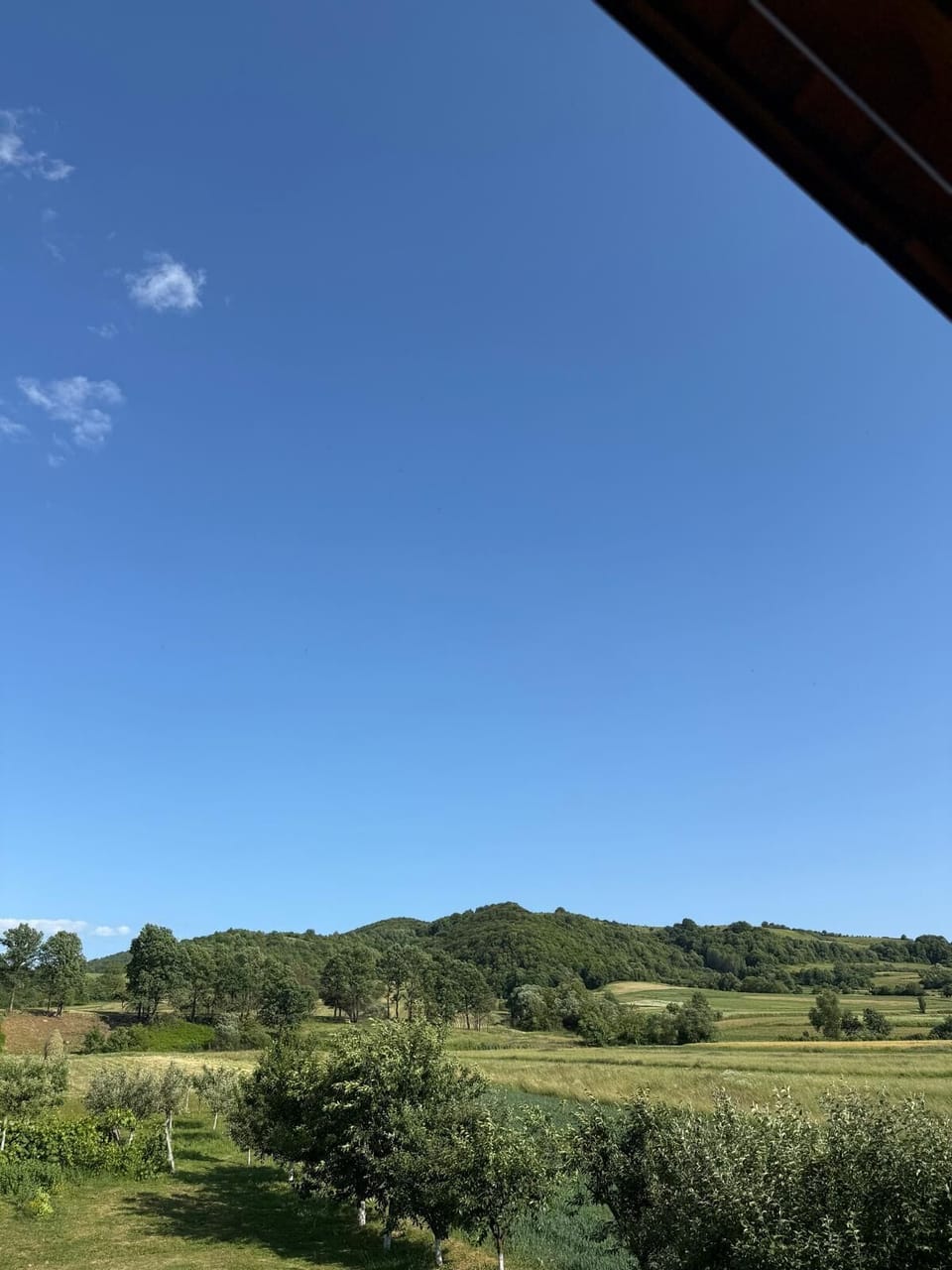 View from property