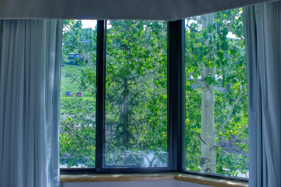 【View】Floor-to-ceiling green out the living room window in summer