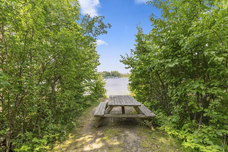 Secluded picnic area with a wooden table framed by vibrant foliage.