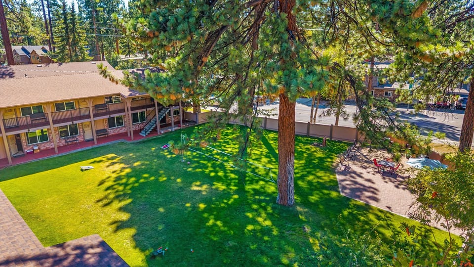 Expansive green lawn perfect for outdoor games