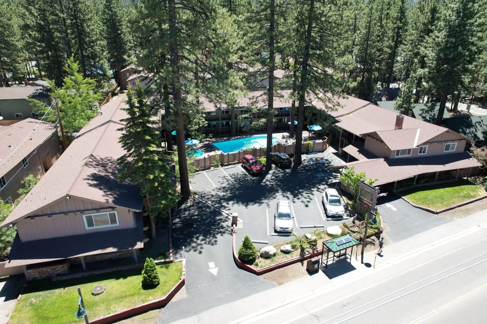 Aerial view of the property amidst tall trees