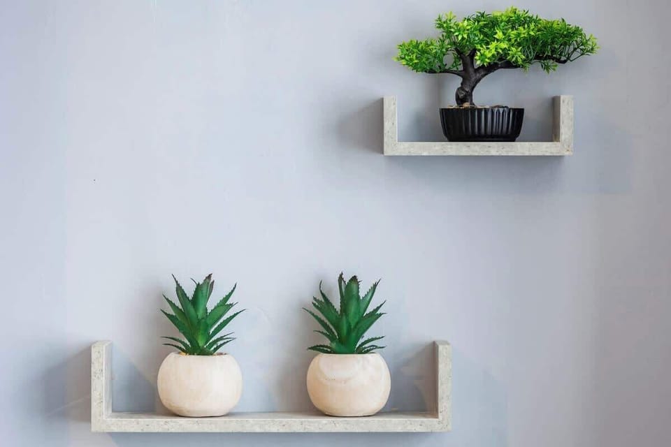 - Floating wall shelves with green decorative plants  
- Minimalist style adds charm and modern freshness  
- Perfect detail enhancing the cozy home interior  
