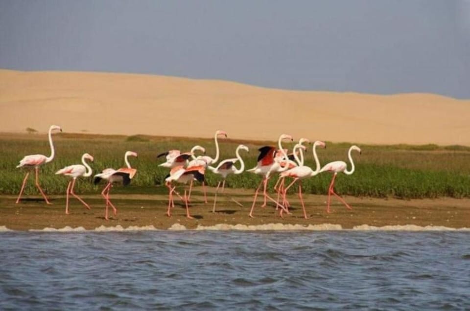lagune naila a 25km
