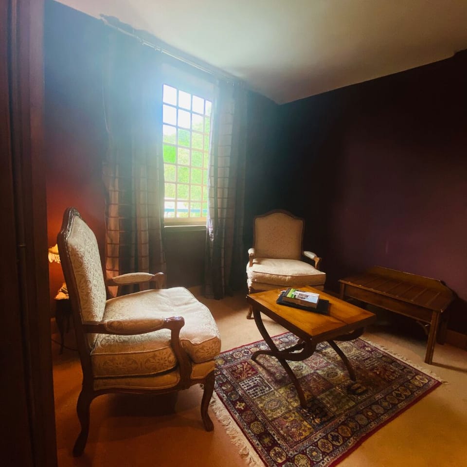 Junior Suite, River View | Living area | 100-cm flat-screen TV with satellite channels