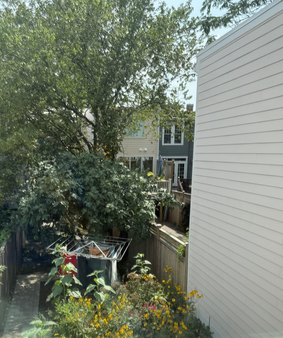Bedroom 2 overlooks property back yard
