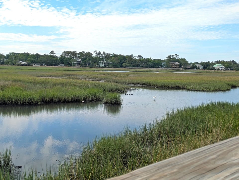 Perfect place for nature enthusiasts!