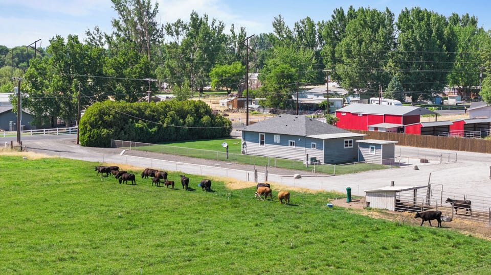Farm Life