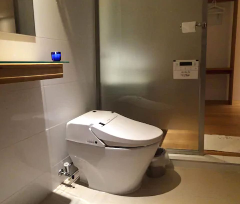 Combined shower/tub, free toiletries, hair dryer, bathrobes