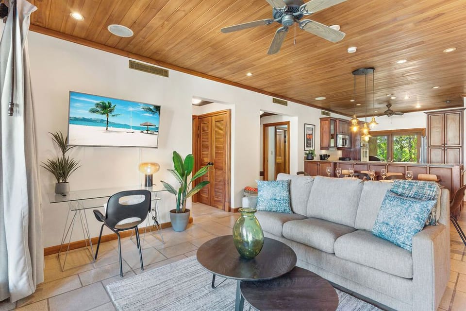 Ceiling Fan, Area rug