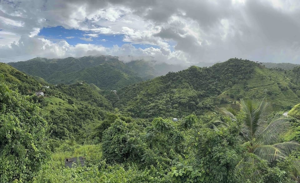 Ciales View