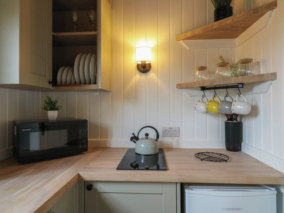 Fridge, microwave, toaster, cookware/dishes/utensils