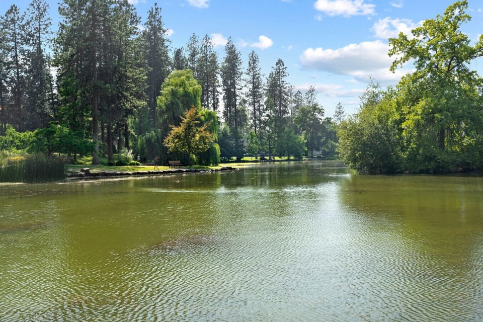Manito Park Duck Pond
