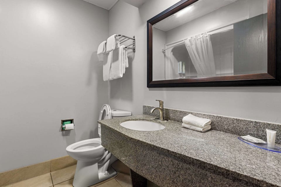 Suite, 2 Queen Beds, Non Smoking | Desk, blackout drapes, iron/ironing board, free WiFi